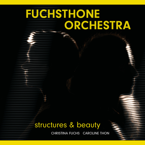 Bild für Beitrag: Fuchsthone Orchestra geht auf Tour | Hymne auf die Schönheit der Welt