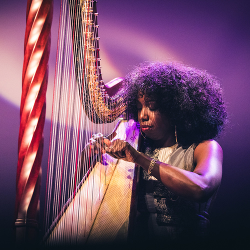 Bild für Beitrag: Ein großer Wurf | Sparks and Visions überzeugte zum vierten Mal