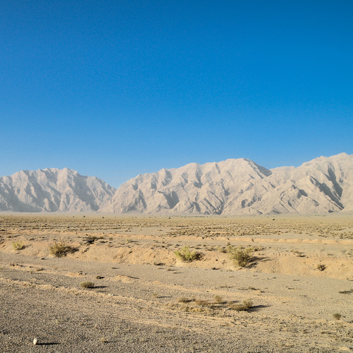 Bild für Beitrag: Heko Gantenberg | Der weiße Elefant