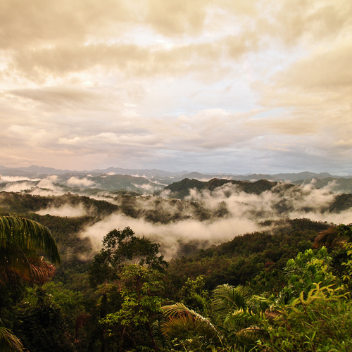 Bild für Beitrag: Heko Gantenberg | Der weiße Elefant