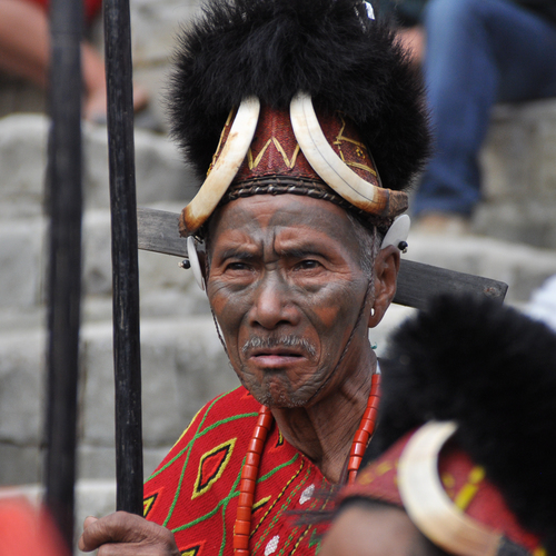 Bild für Beitrag: Heko Gantenberg | Der weiße Elefant