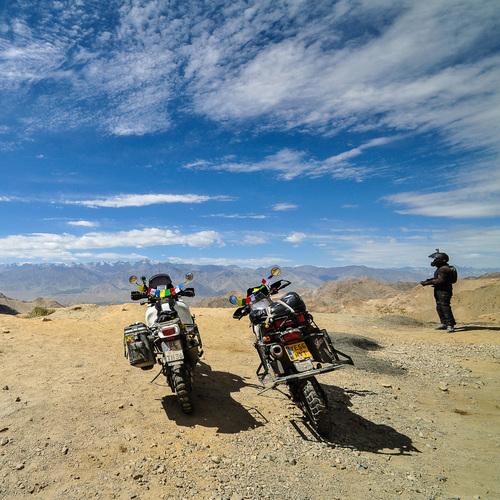 Bild für Beitrag: Heko Gantenberg | Der weiße Elefant