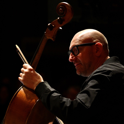 Bild für Beitrag: Swinging Sonnets | Caroll Vanwelden Trio begeisterte bei FineArtJazz