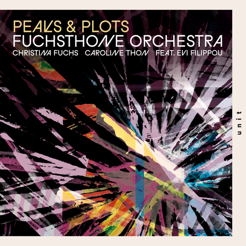 Bild für Beitrag: Fuchtsthone Orchestra | Peaks and Plots