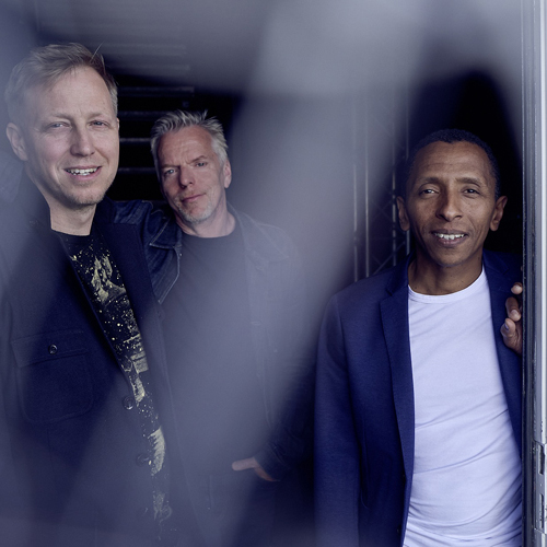 Bild für Beitrag: Der Jazz bekennt Farbe | Überblick über das New Colours Festival 2026