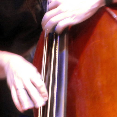 Bild für Beitrag: Erdquintett | 49. Konzert im Bochumer Kulturrat